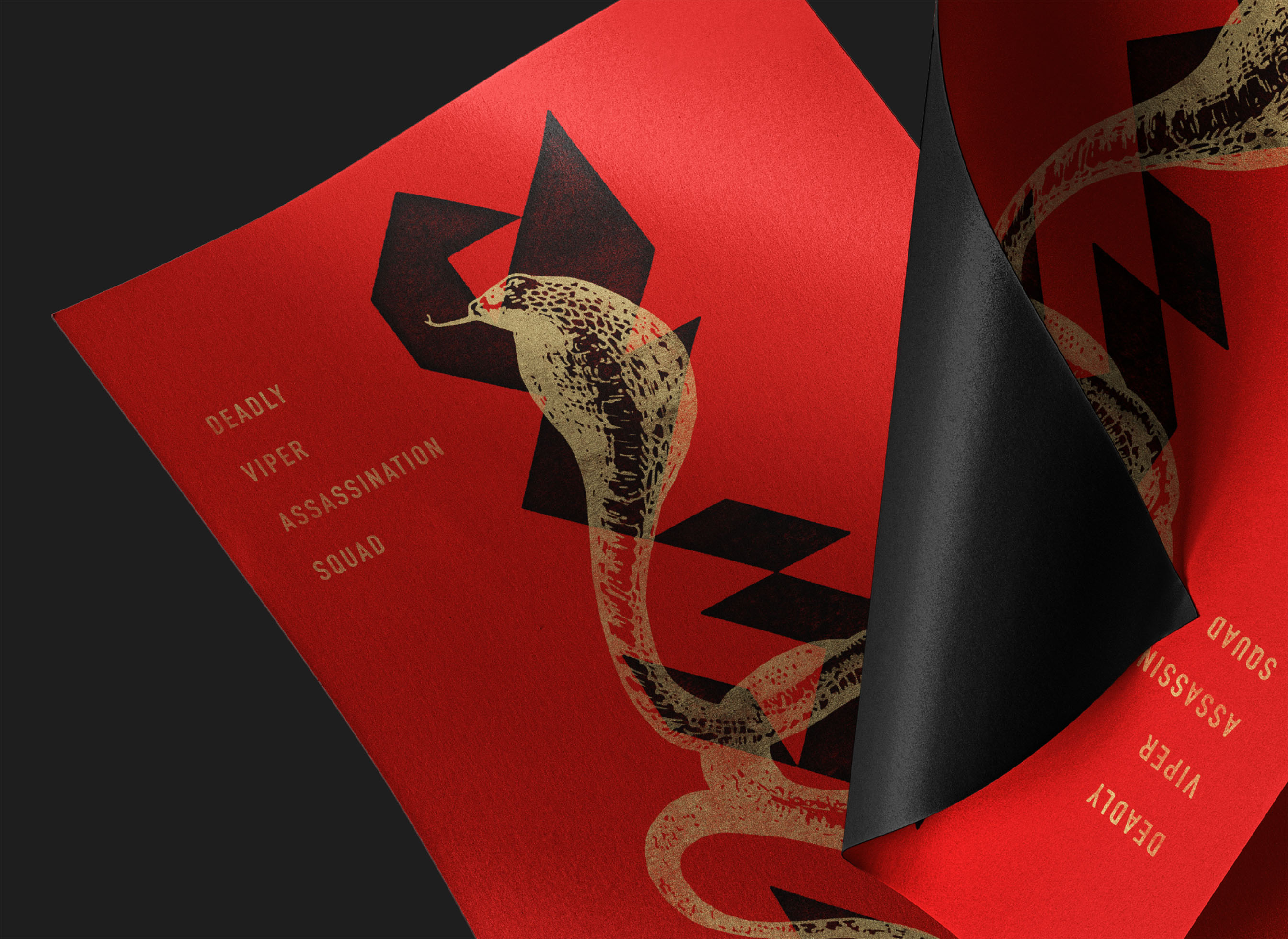 DVAS-Branding-2