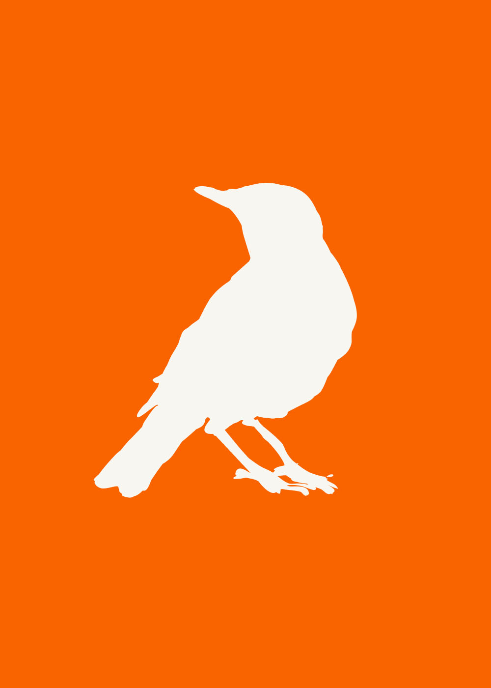 Solid white American Robin illustration on a solid orange background.