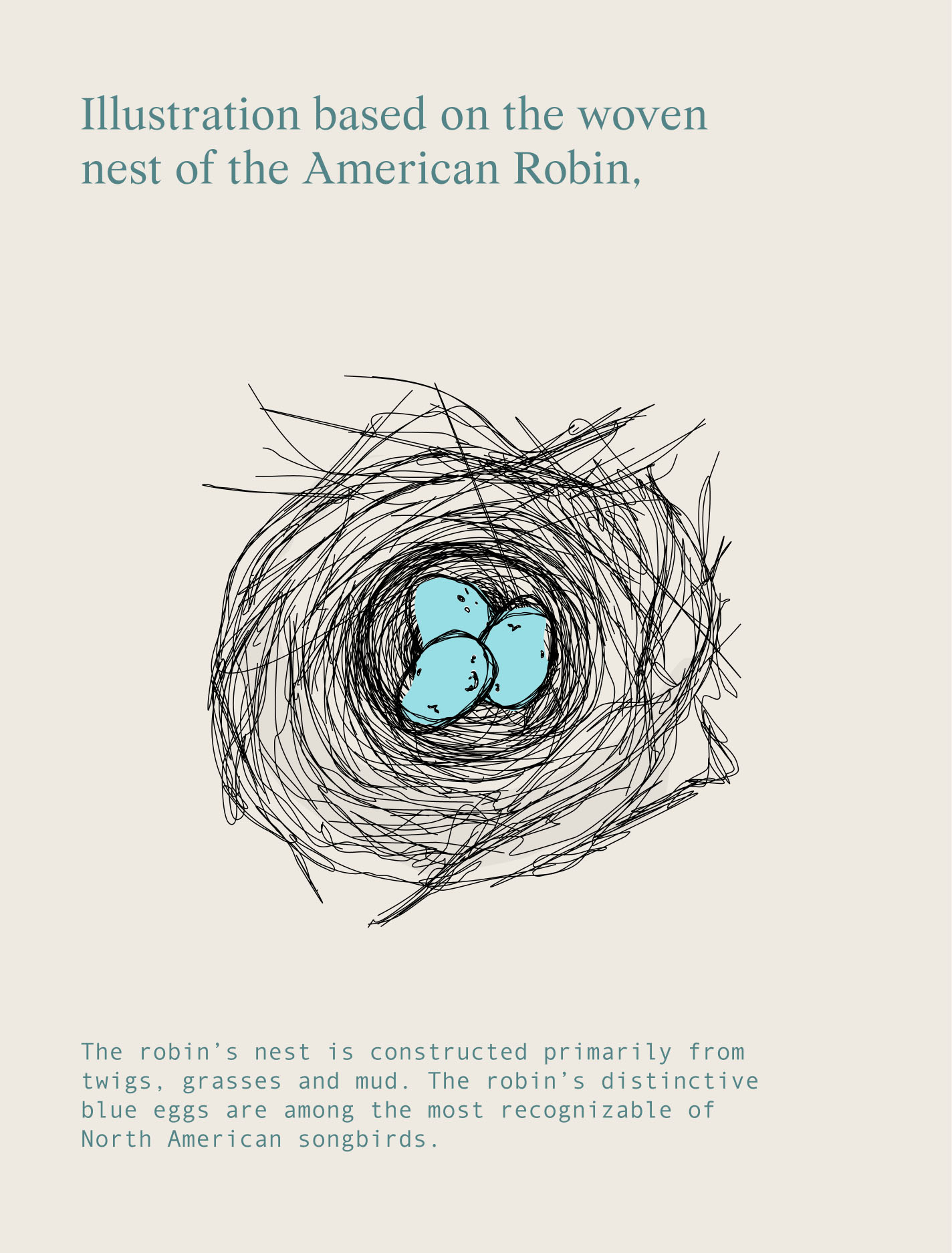 Mike Fuhr brand illustration showing an American robin nest and blue egg.