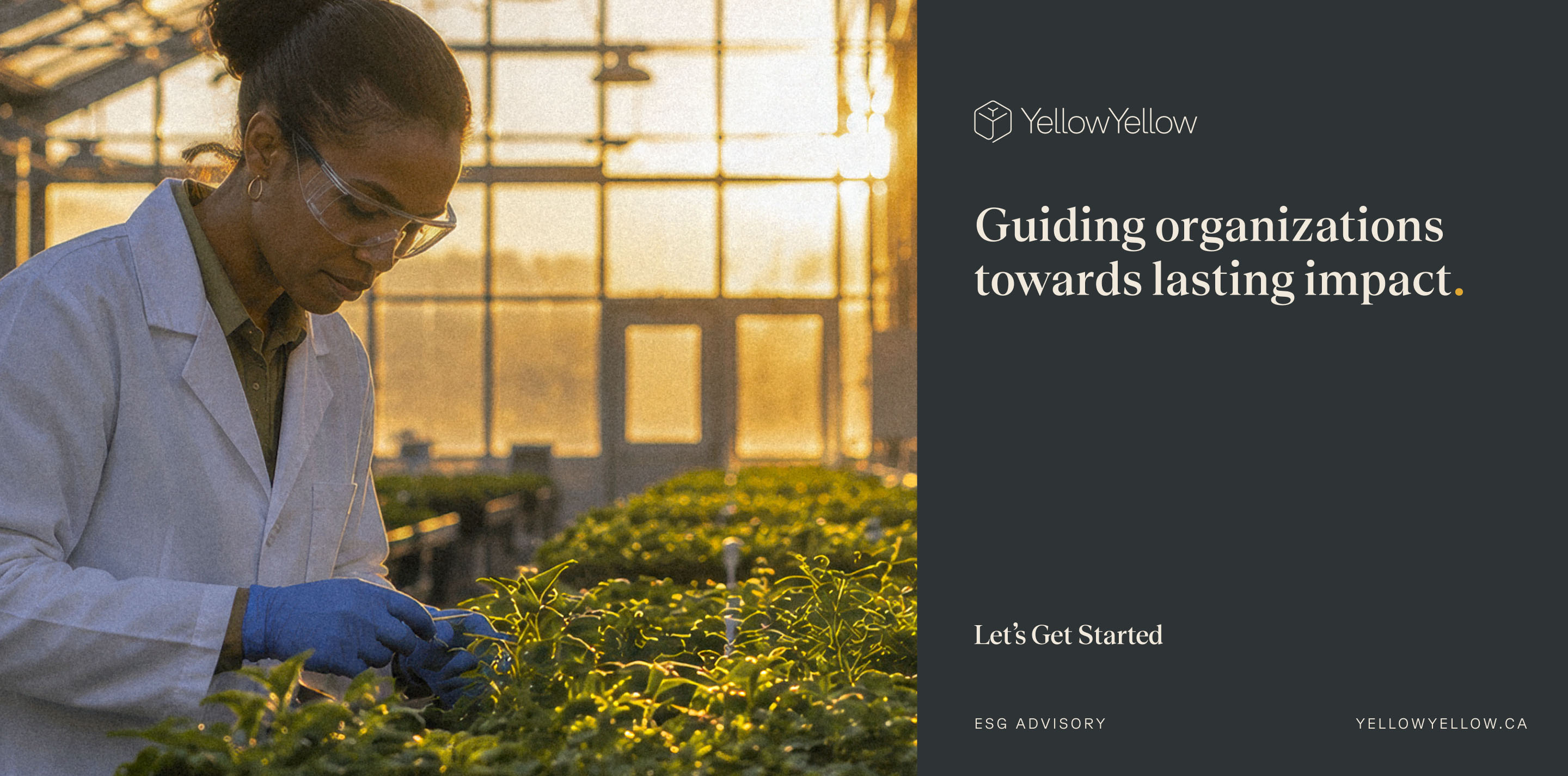 YellowYellow billboard design featuring environmental photography and the message “Guiding organizations towards lasting impact.”