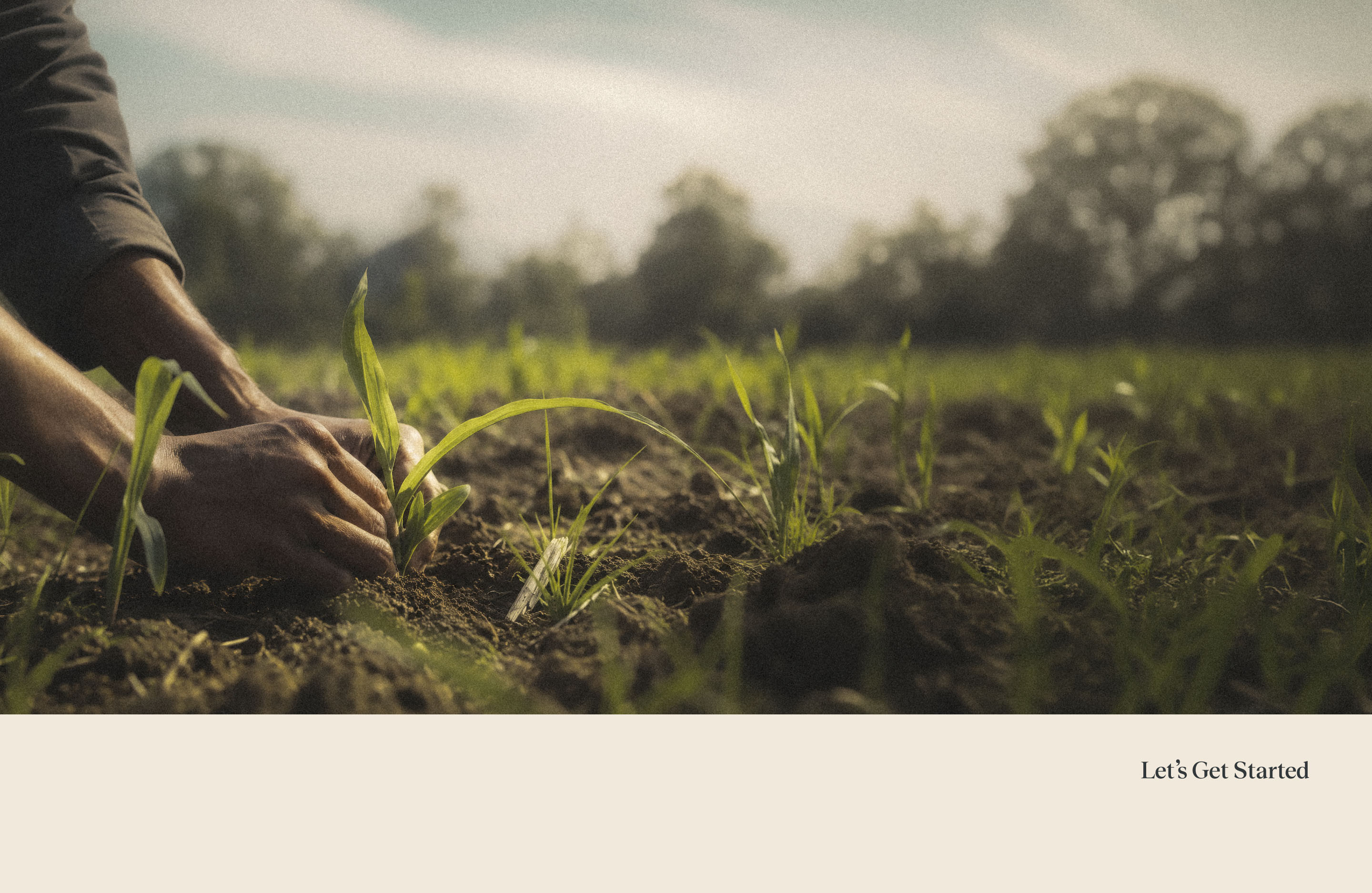 Environmental photography of hands planting seedlings and the YellowYellow tagline